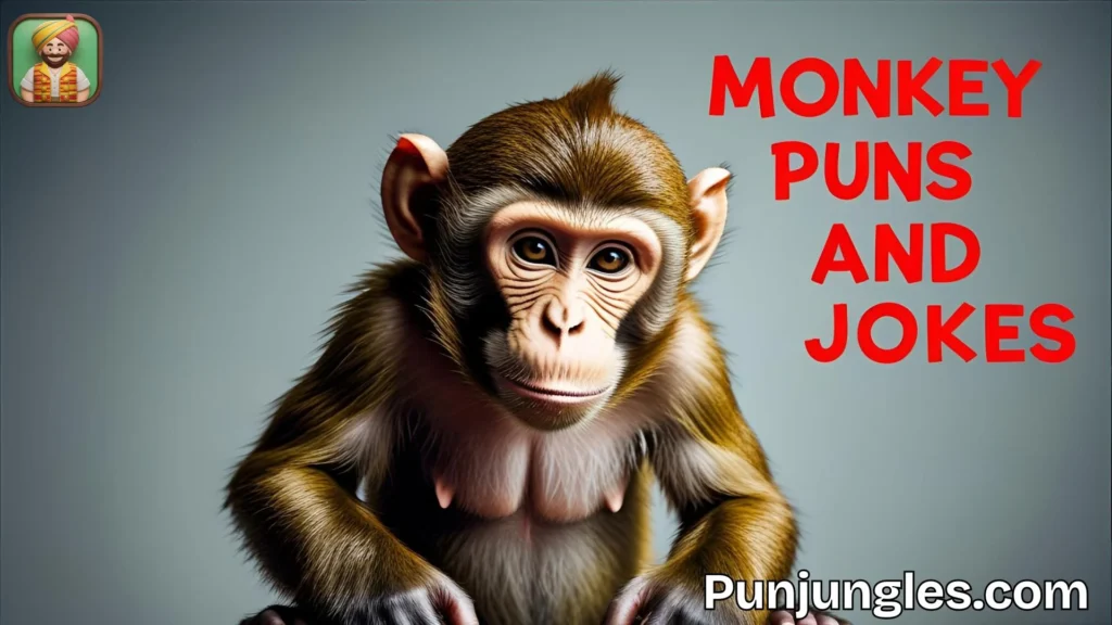 Clever Monkey Jokes for All Ages
