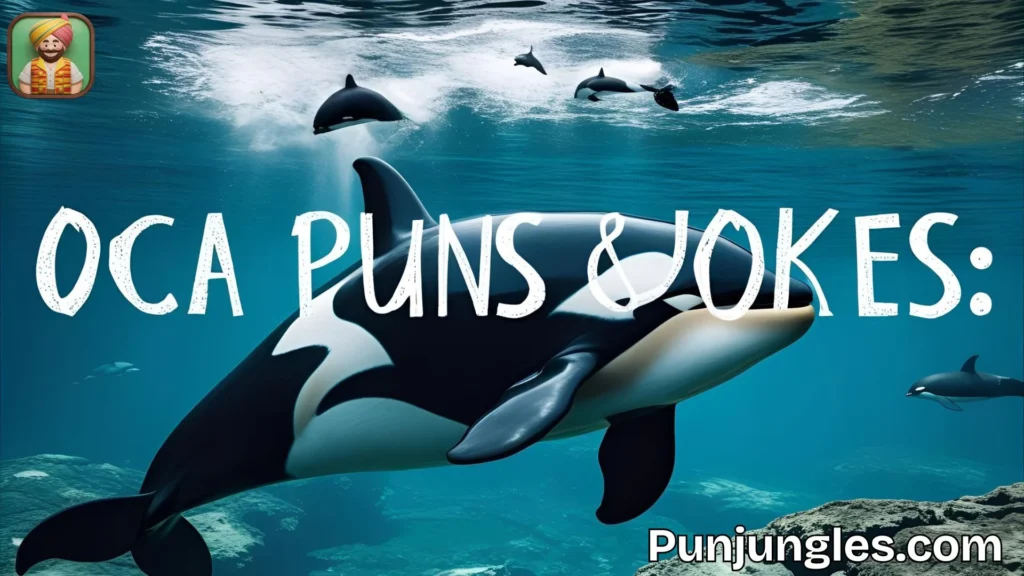 Funny Orca Jokes for Kids