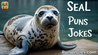 501+ Seal Puns and Jokes 2025