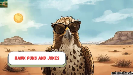 501+ Hawk Puns and Jokes 2025-2026