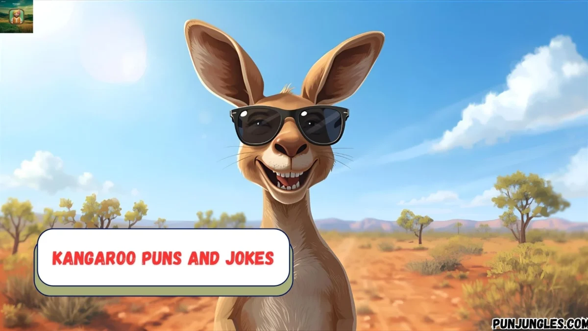 501+ Kangaroo Puns and Jokes 2025-2026 