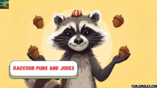501+ Raccoon Puns and Jokes 2025-2026